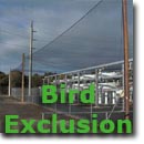 Bird Exclusion Netting